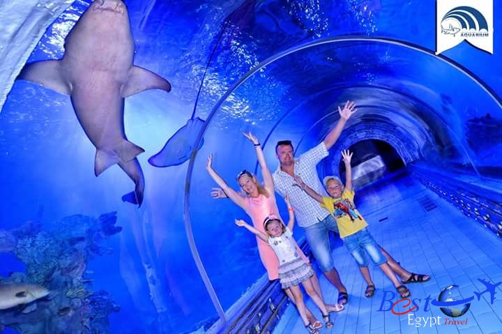 Click to open image!