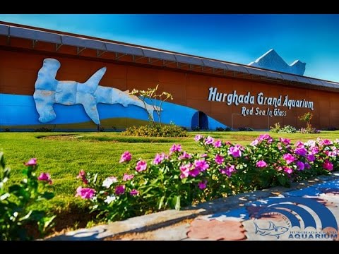 Click to open image!