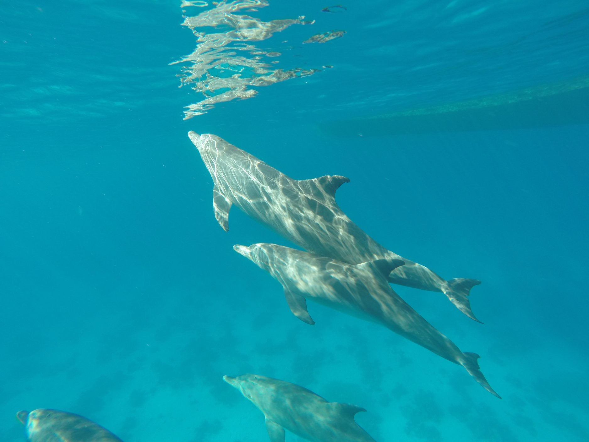 Click to open image!